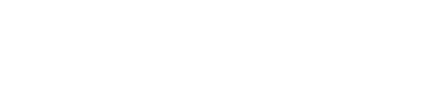 Dynamiq logo